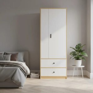 Closet Organizador 3 Estantes 2 Cajones 1 Barra Blanco Blanco