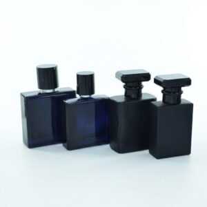 Tapetes para Carro azul y negro antiderrapantes 4 piezas