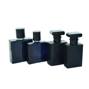 Tapetes para Carro azul y negro antiderrapantes 4 piezas