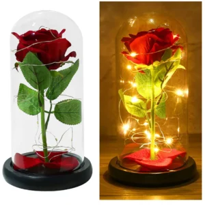 rosa preservada en cúpula de vidrio con luz led