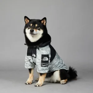Impermeable para perro grande con capucha ligero