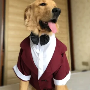 traje de novio para perro ropa formal mascota boda