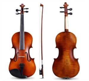 Violin Acustico Profesional 4/4 Con Estuche Estudiantes