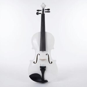 Violin Acustico Profesional 4/4 Con Estuche Estudiantes