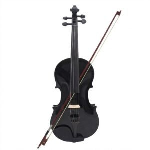 Violin Acustico Profesional 4/4 Con Estuche Estudiantes