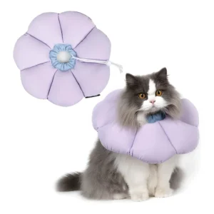 Collar De Recuperación Para Gato